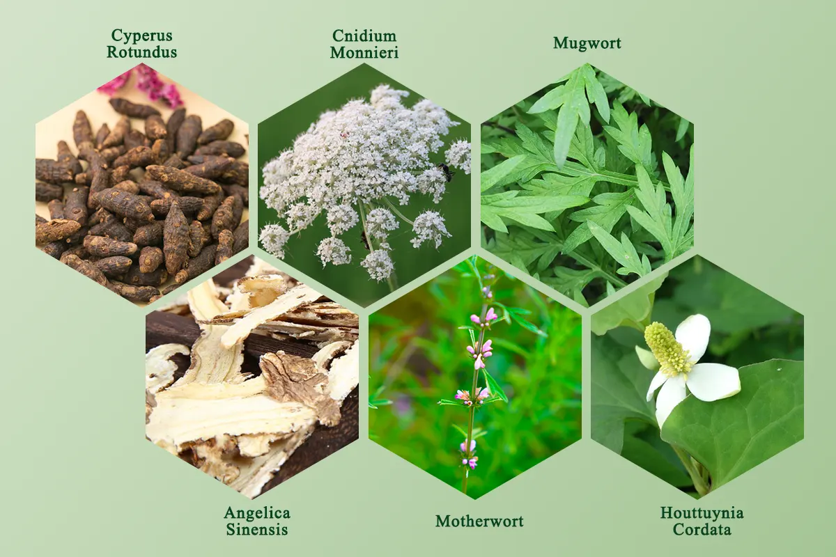 Herbal sanitary pad ingredients composition image, showcasing the natural components like mugwort and other plant extracts for enhanced health benefits.